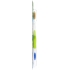 Adult Manual Toothbrush - Green