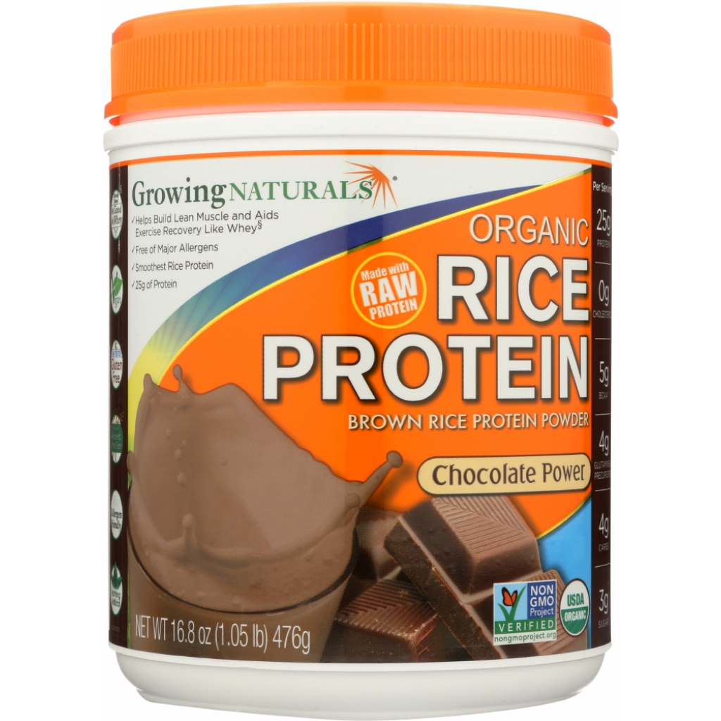 Organic Raw Rice Protein Chocolate Power - Nutrient-Rich, 16.8 oz