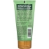 Borage Therapy Hand Cream - 2.5 oz