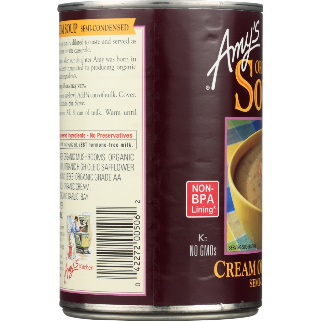 Organic Cream of Mushroom Soup - 14.1 oz