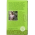 Organic Green Jasmine Tea, 20 Bags