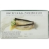 Wild Sardines in Organic Olive Oil - 4.4 oz