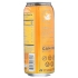 Mango Passion Fruit Sparkling Water - 16 oz