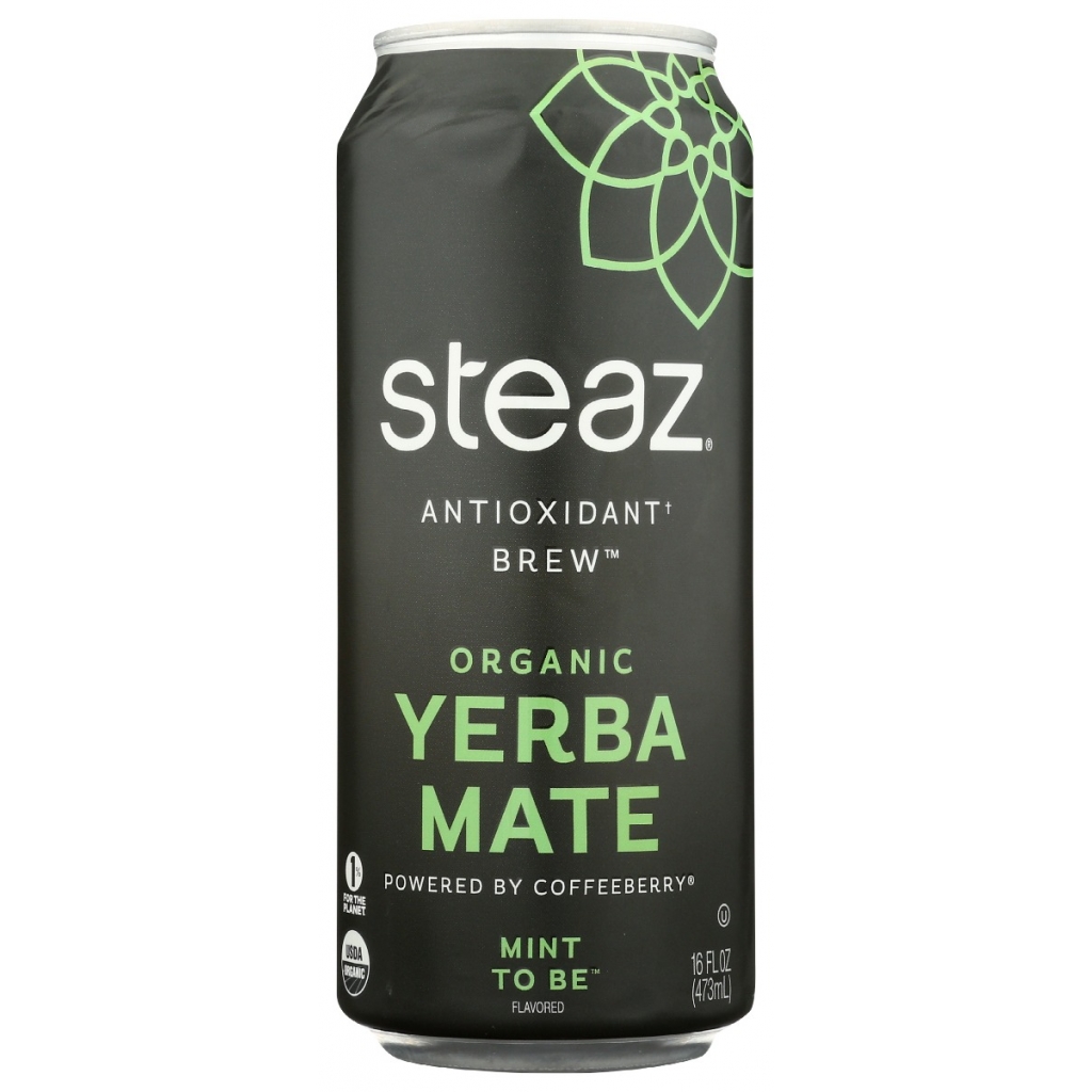 Yerba Mate Mint Antioxidant Brew - 16 fl oz