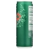 Zevia Ginger Ale Soda - 12 oz