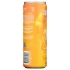 Energy Plus Focus - Orange Ginger - 12 fl oz