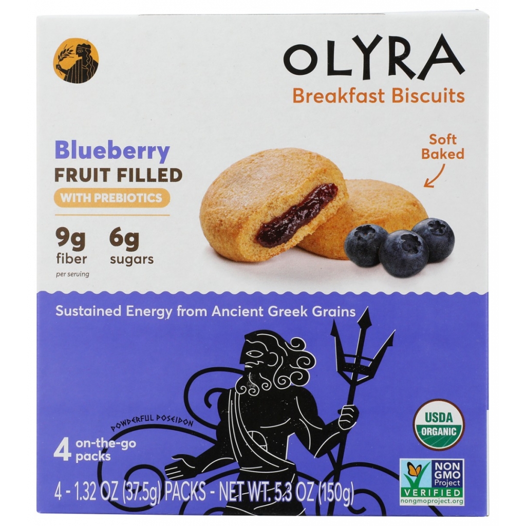 Blueberry Fruit and Grain Bites - Nutritious Snack