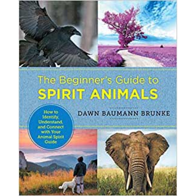 Beginner's Guide to Spirit Animals by Dawn Baumann Brunke