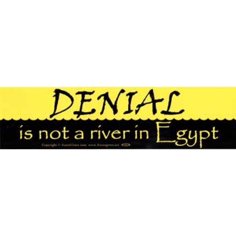 Denial Is Not A River In Egypt bumper sticker