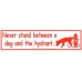 Never Stand Between a Dog and the Hydrant bumper sticker