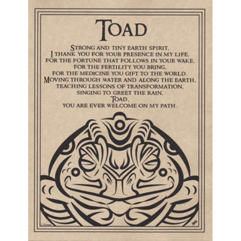 Toad Blessing poster