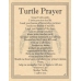 Turtle Prayer poster