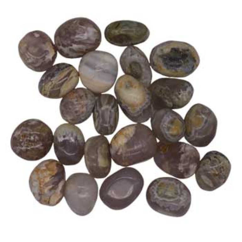 1 lb Opalized Petrified Wood tumbled stones