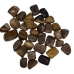 1 lb Petrified Wood tumbled stones