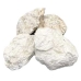 5kg Howlite, White untumbled 50-100mm