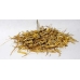 Witches Grass ( Panicum Capillare cut 2oz)