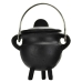 Plain cast iron cauldron  w/ lid 2 3/4