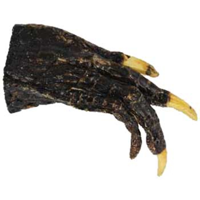 Alligator Feet small