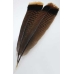 Bronze Turkey Tail feather