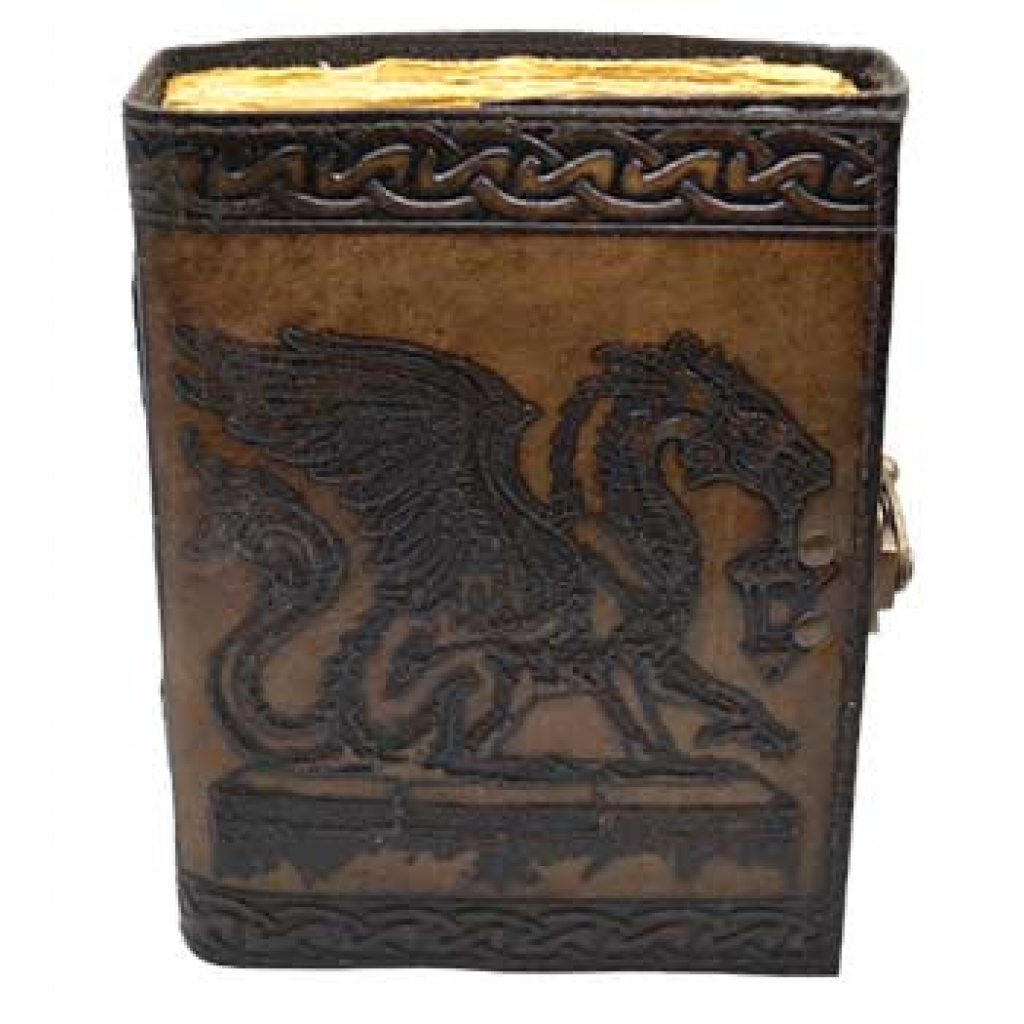 Aged Leather Dragon Journal with Latch