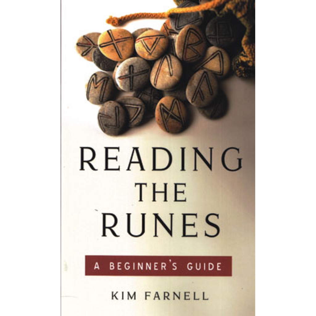 Beginner's Guide to Reading the Runes by Kim Farnell