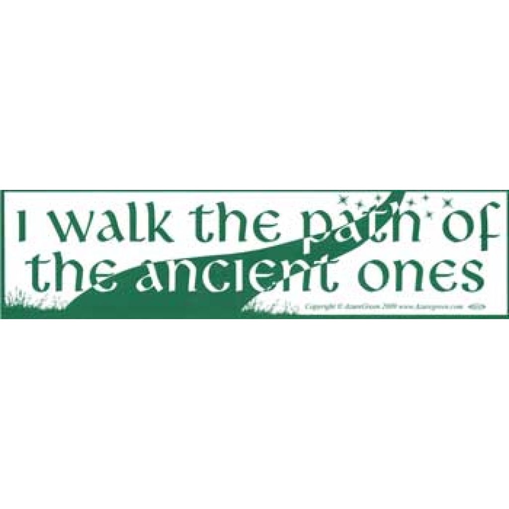 I Walk the Path of the Ancient Ones - Book