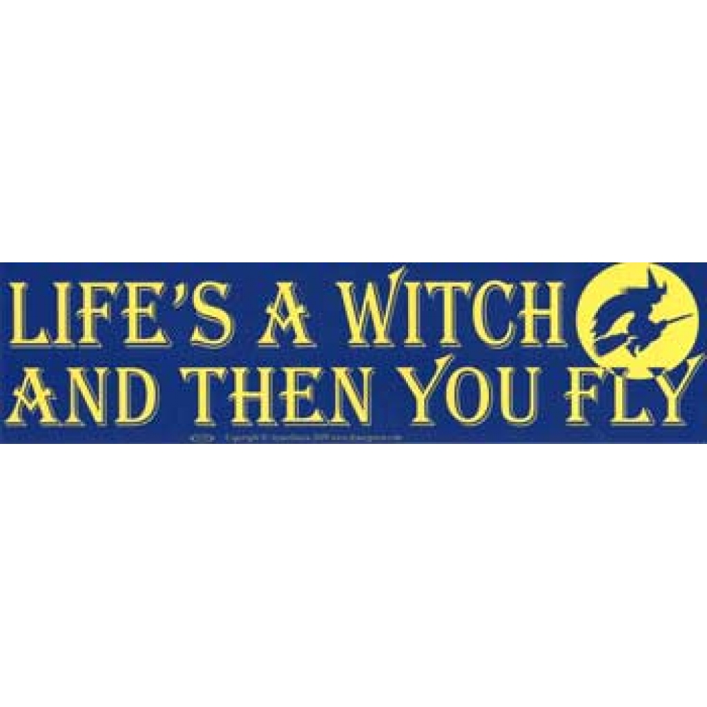 Life's A Witch And Then You Fly Poster