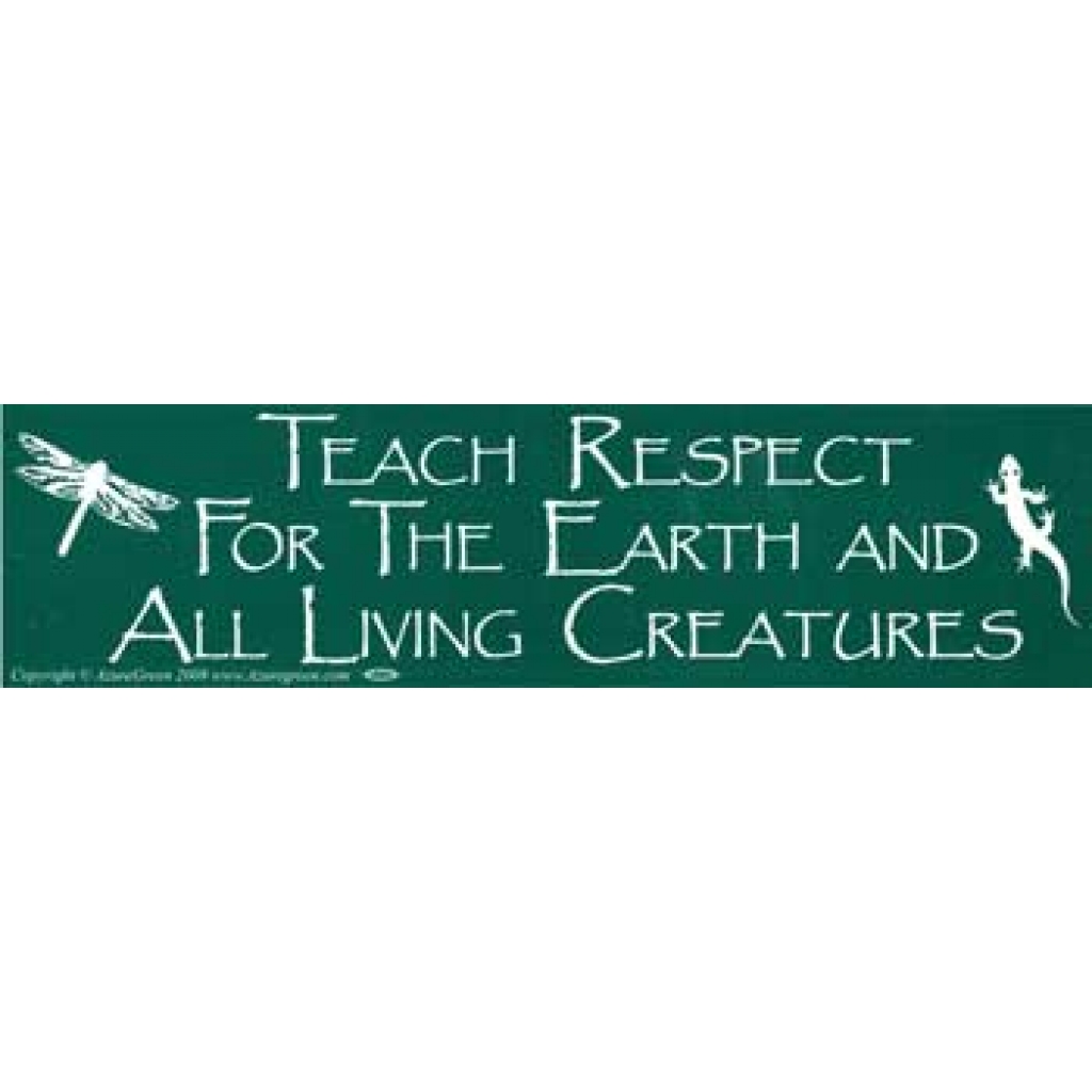 Teach Respect for the Earth Bumper Sticker