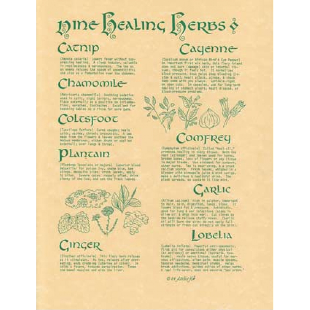 9 Healing Herbs Poster