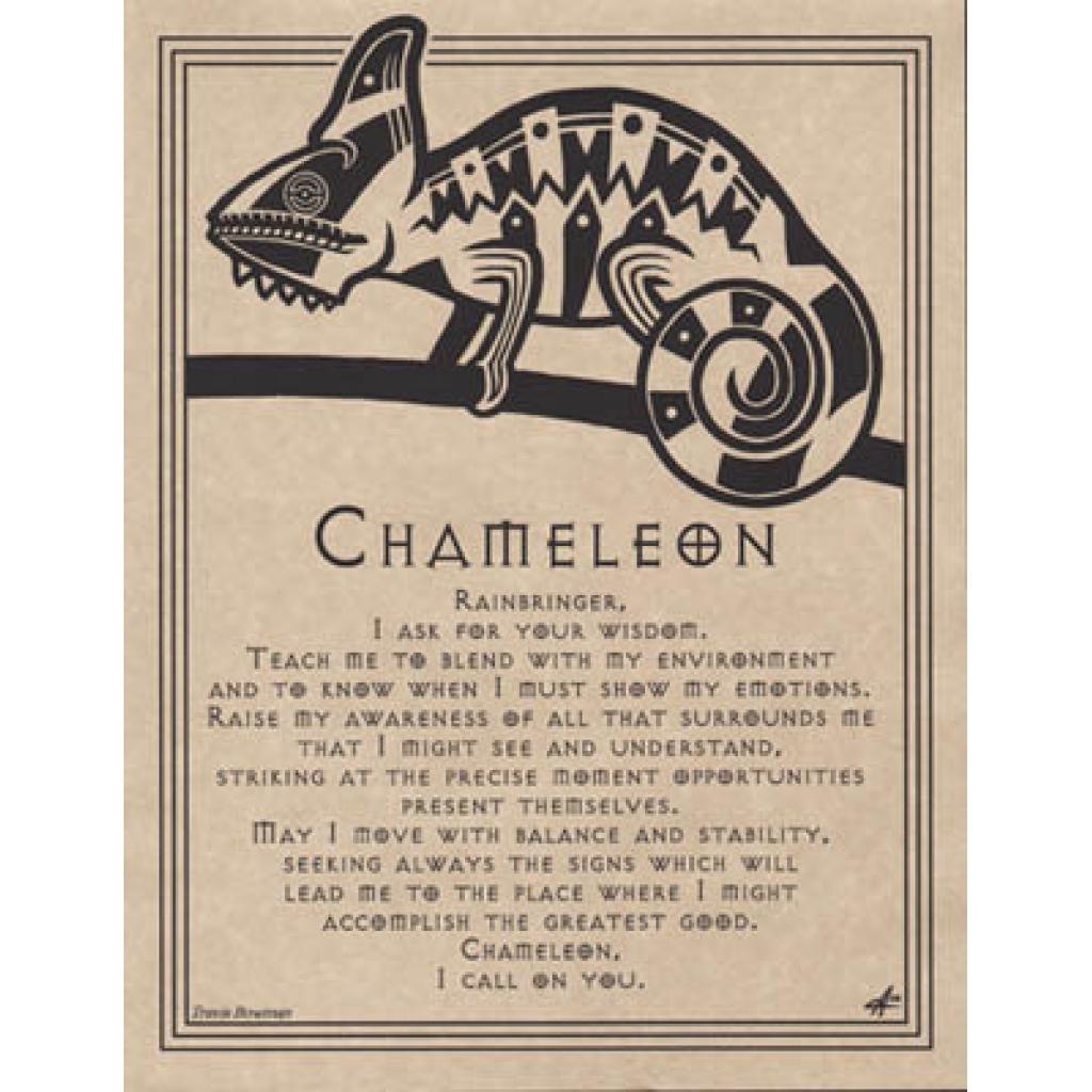 Chameleon Prayer Poster