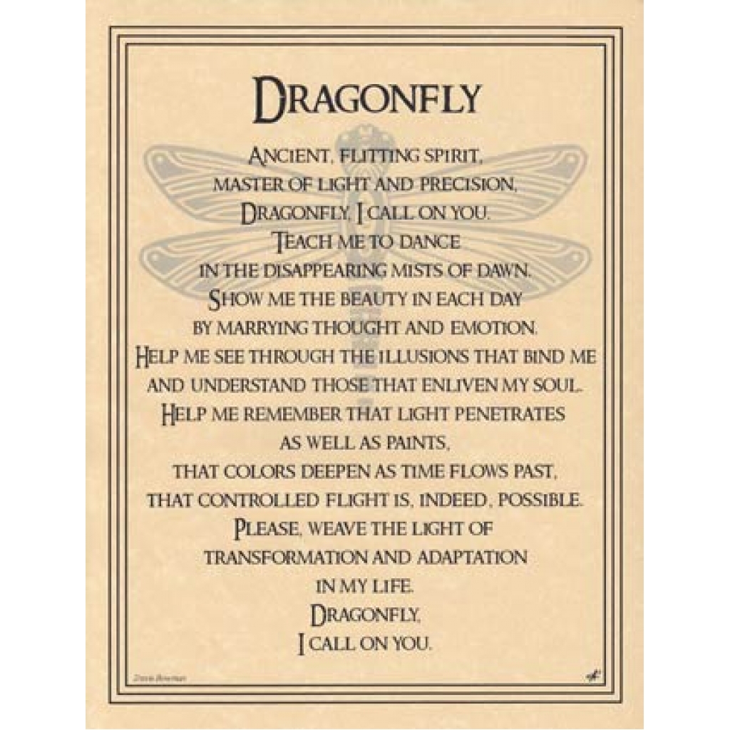 Dragonfly Poster - Spiritual Insights