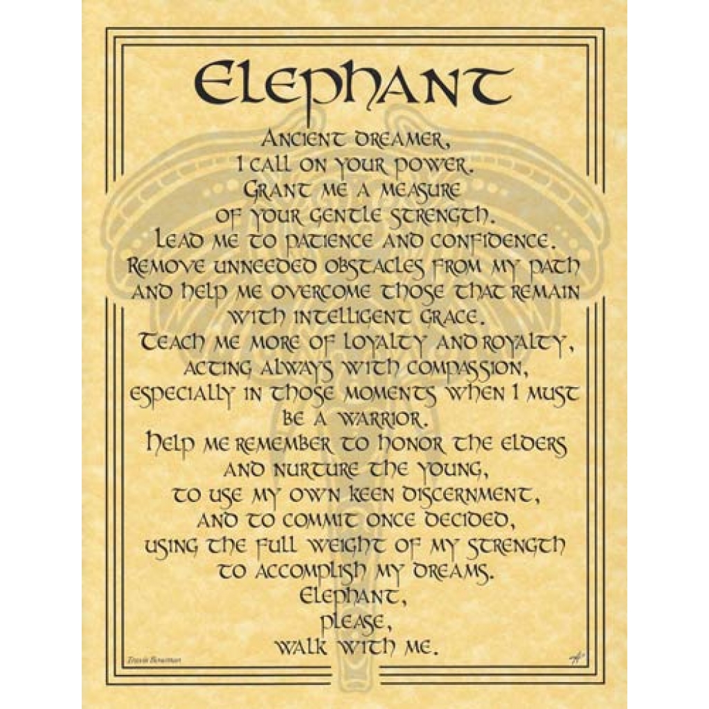 Elephant Prayer Poster