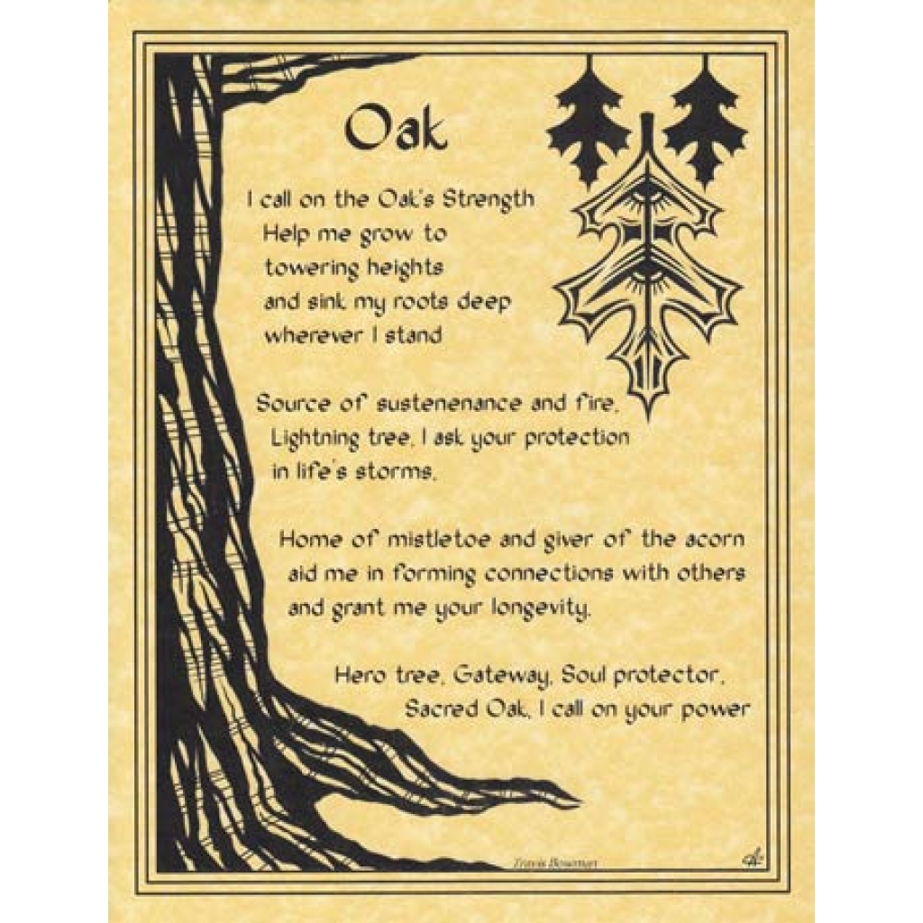 Oak Tree Sacred Nature Poster