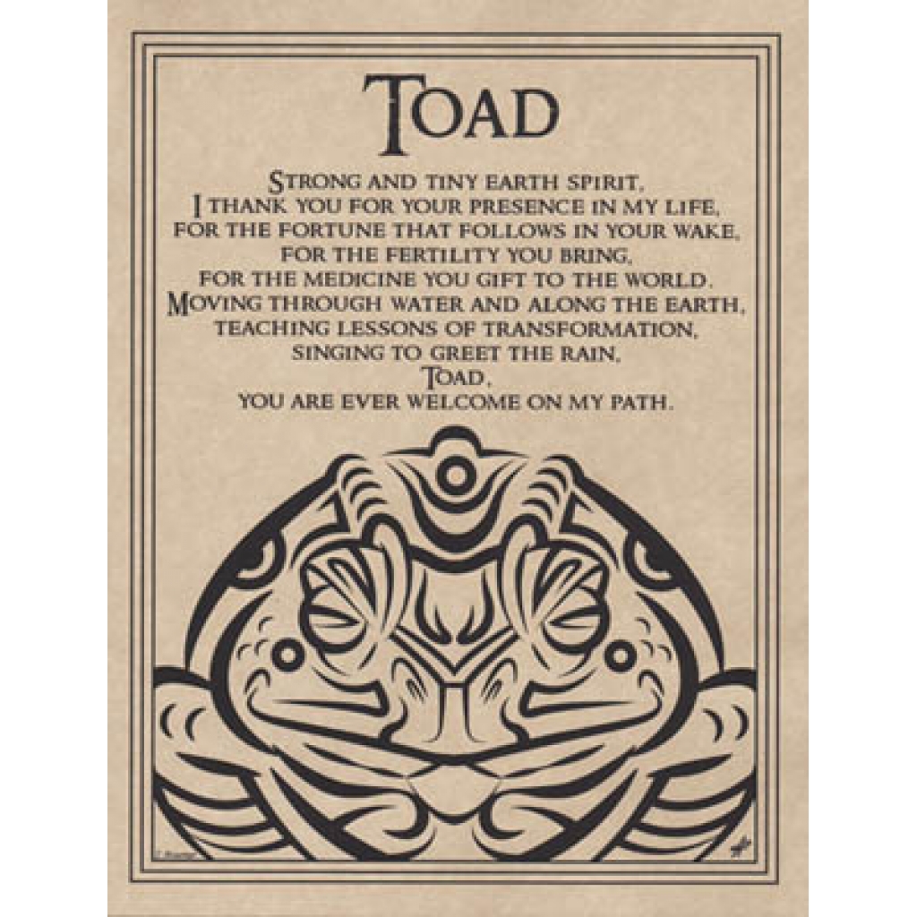 Toad Blessing Poster - 8.5