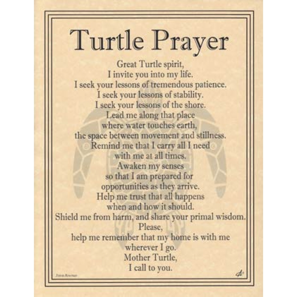 Tribal Turtle Prayer Poster