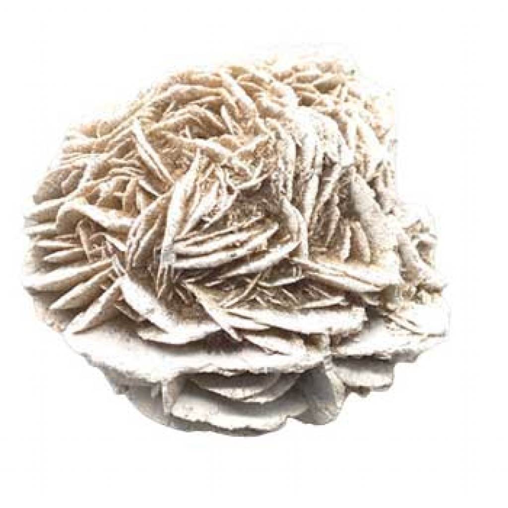 5 lb Desert Rose for Overcoming Phobias