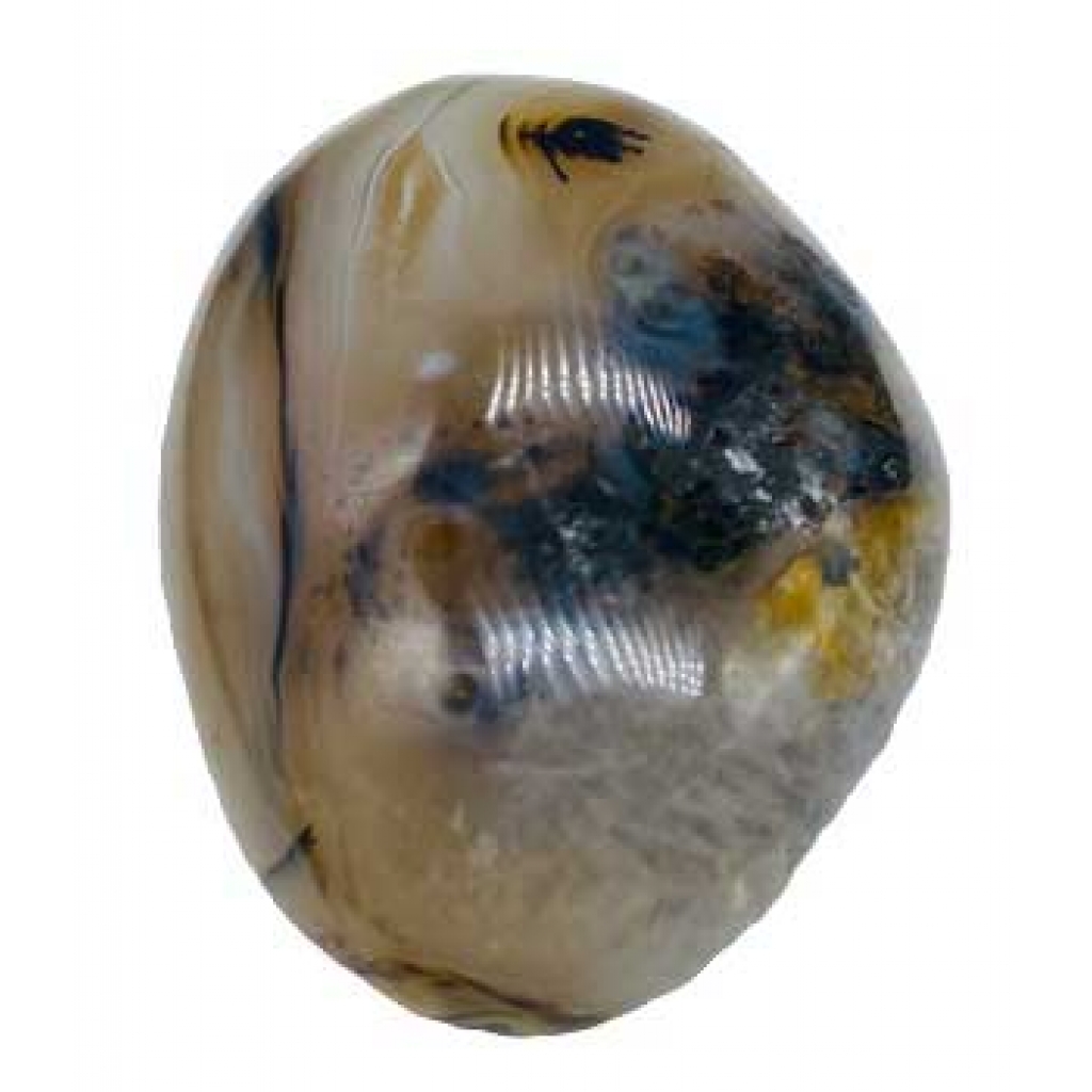 Dendritic Agate Palm Stone