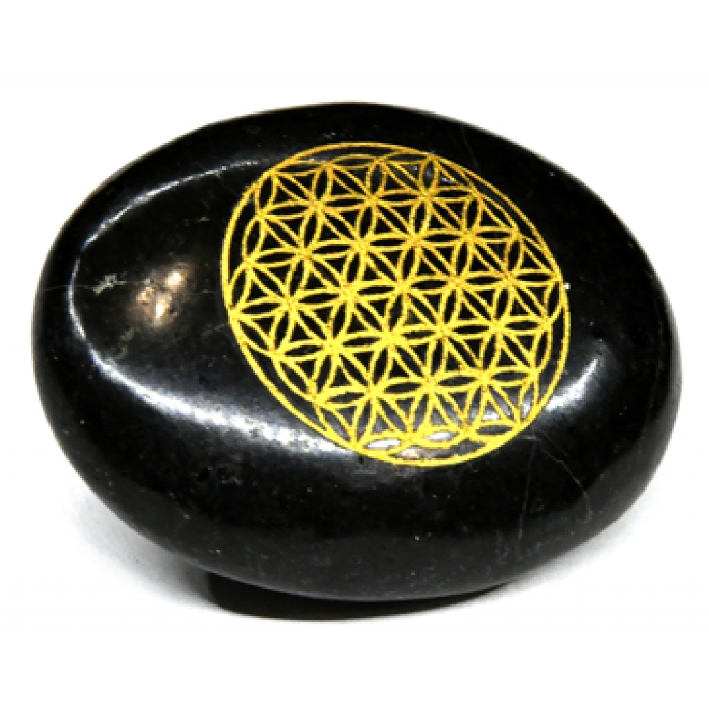 Unique Black Tourmaline Flower of Life Palm Stone