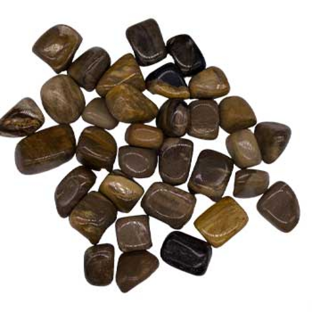 1 lb Tumbled Petrified Wood Stones - Grounding Energy