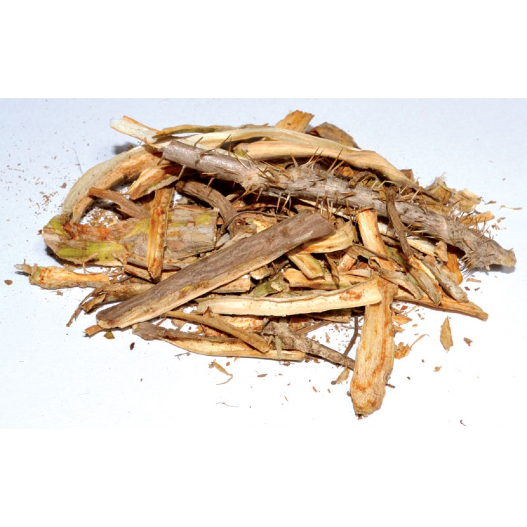 Devil's Club Root Bark Cut - Purification and Protection