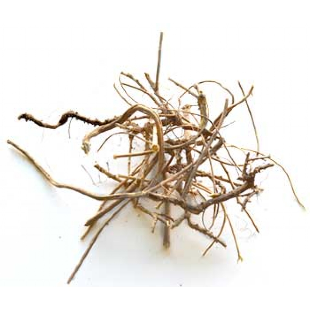 1 Lb Devil's Shoestring Whole Herb for Rituals