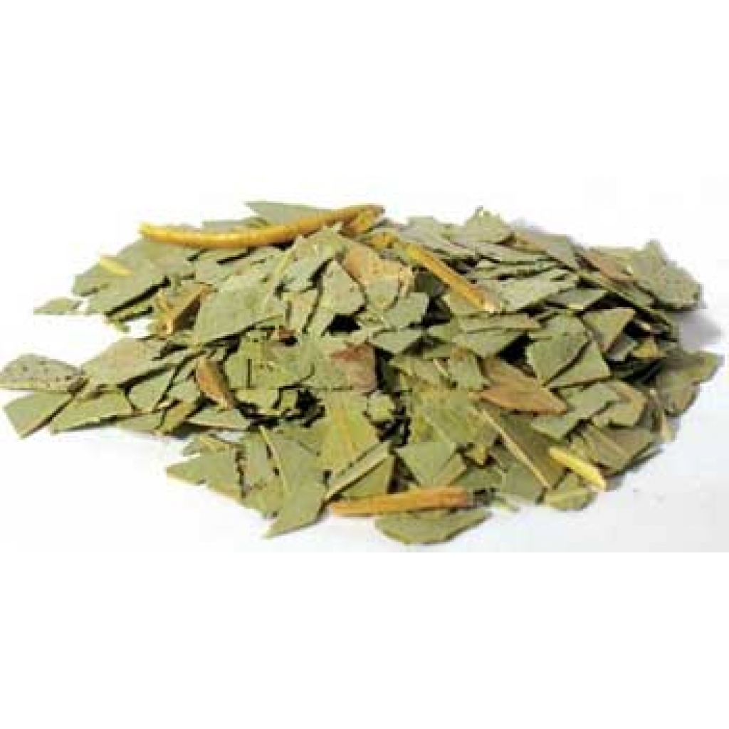 Eucalyptus Cut - 1 lb (Eucalyptus globulus)