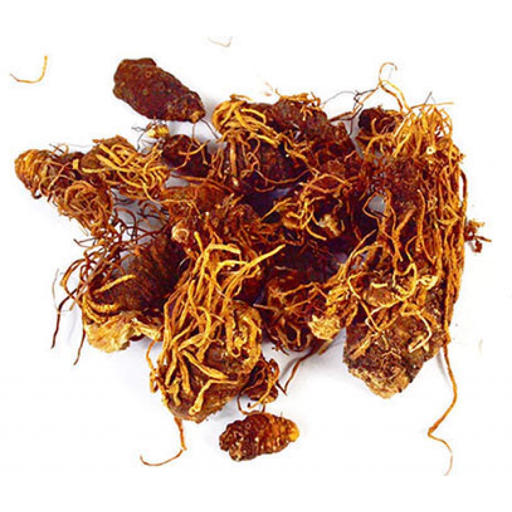 Premium 1 Lb Whole Low John Root for Rituals and Spellwork