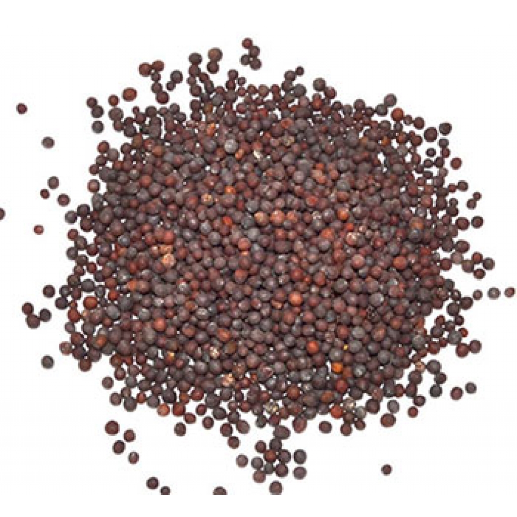 1 Lb Whole Brown Mustard Seed for Culinary and Magical Uses