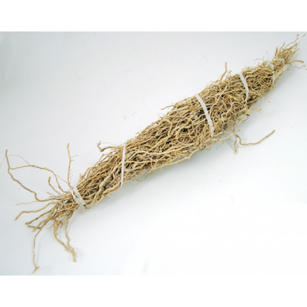 Patchouli Root Bundle - 1 Root (Pogostemon Cablin)