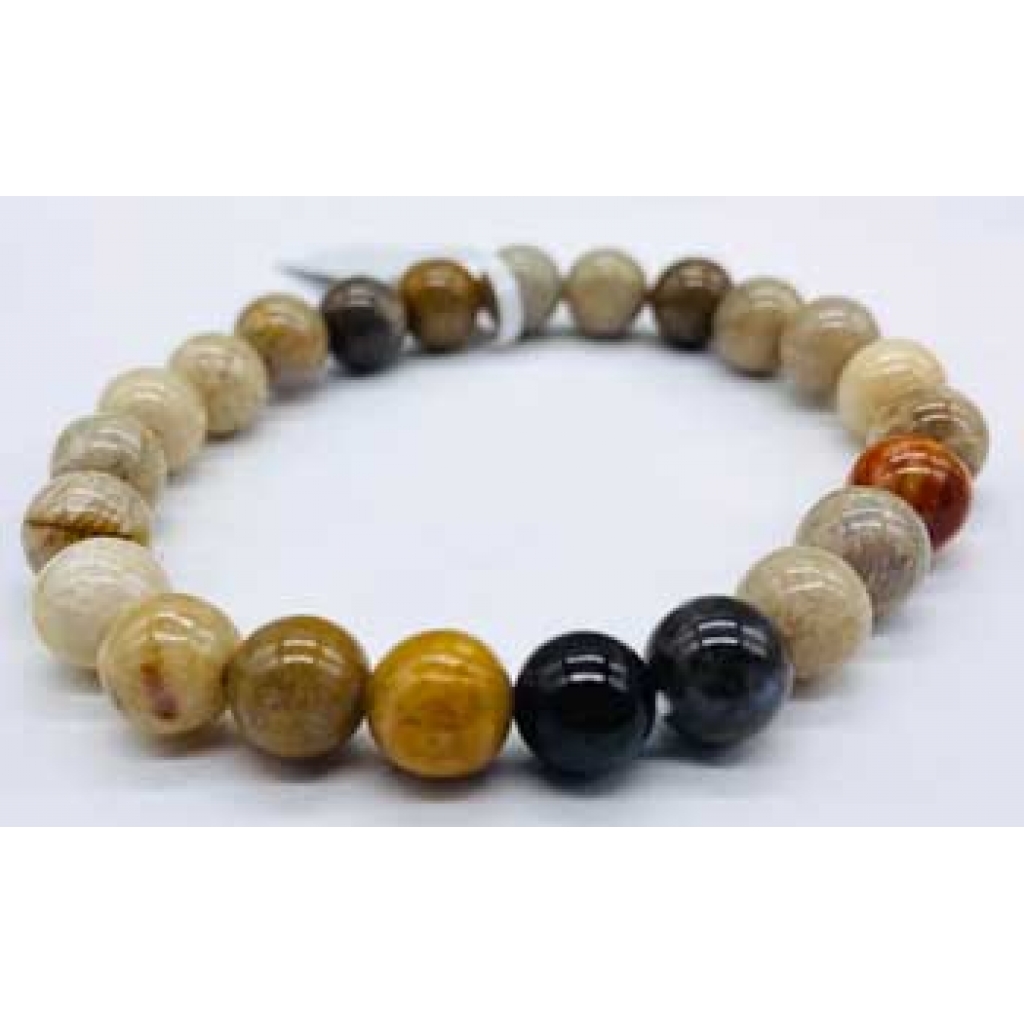 8mm Agate Fossilized Coral Bracelet: Grounding Energy for Balance