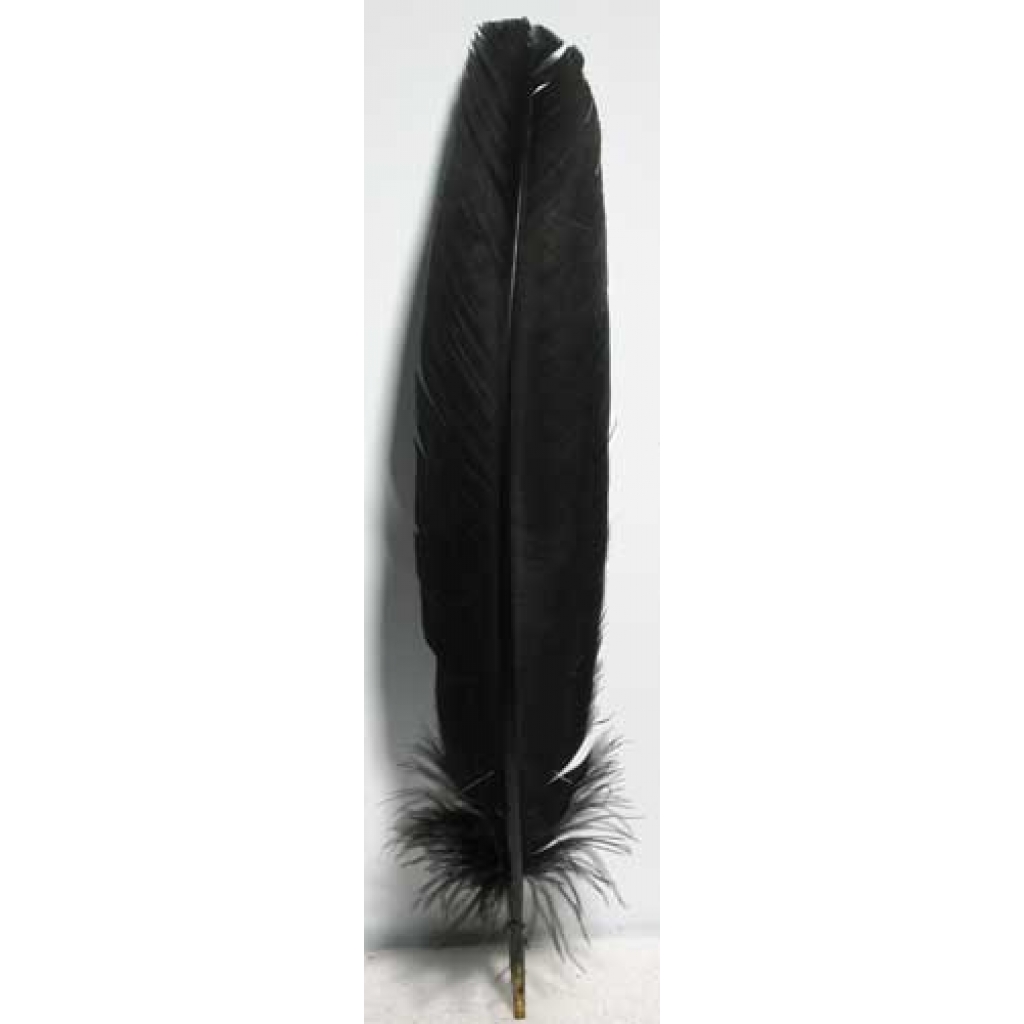 Set of 10 Black Feather - 12