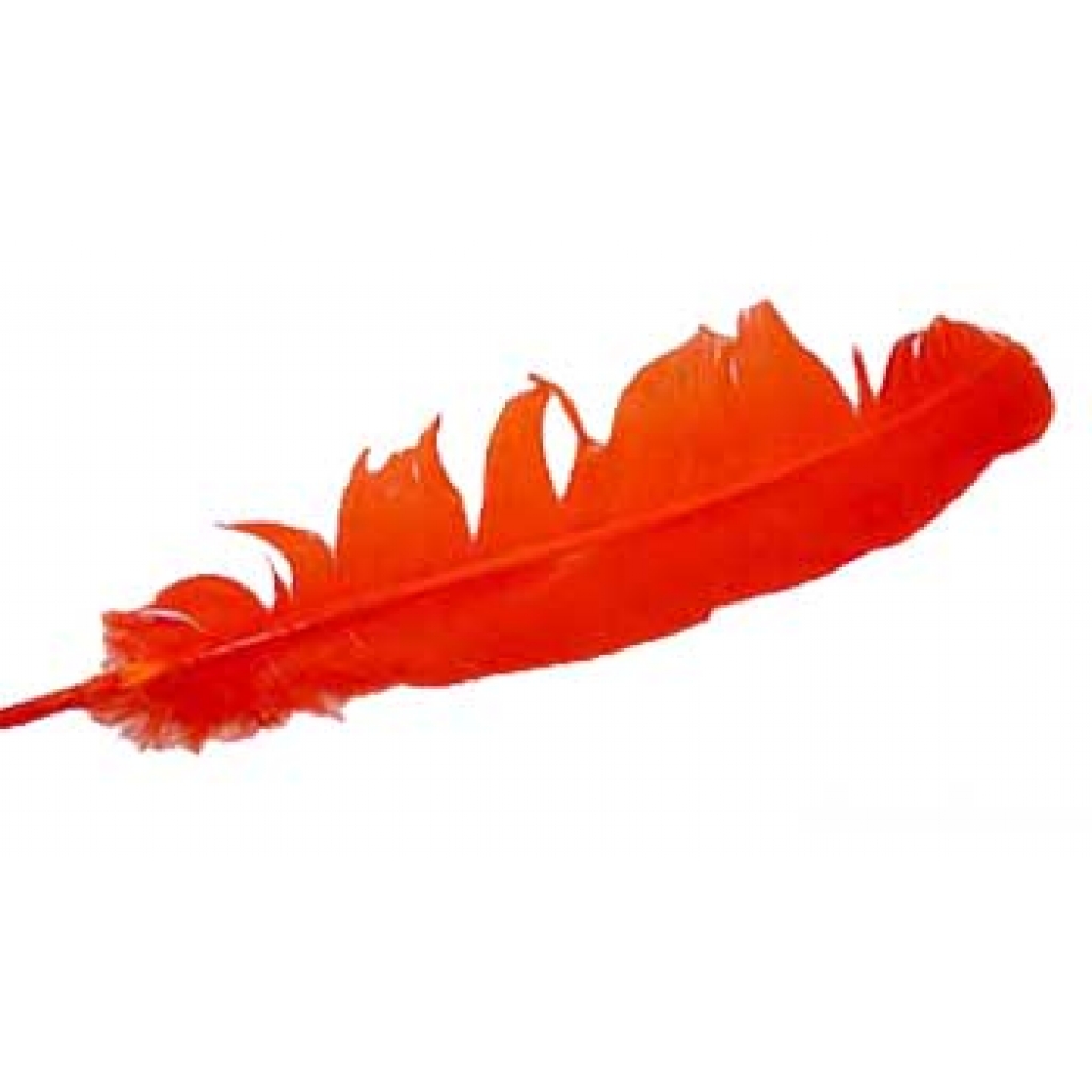 Orange Turkey Feather (12