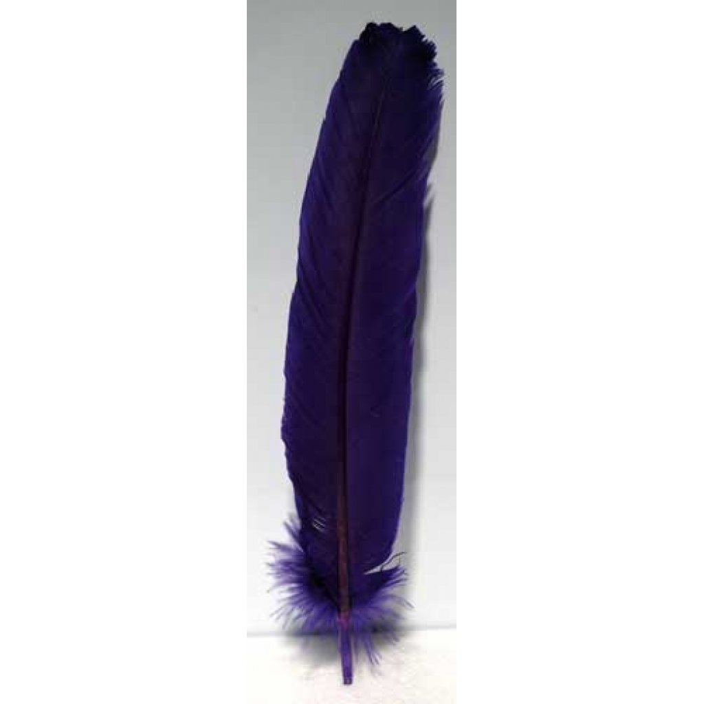 Set of 10 Dyed Purple Turkey Feathers (12