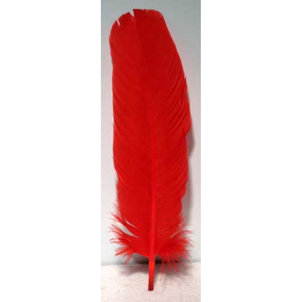 Set of 10 Red Feathers - Essential for Love Spells and Smudging